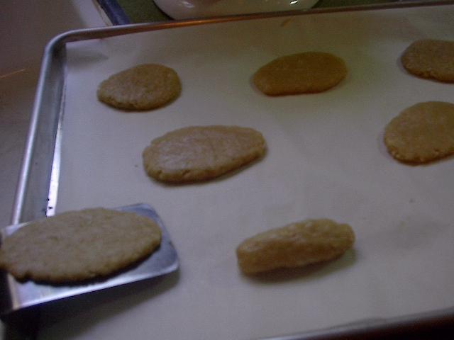unbaked coconut washboards